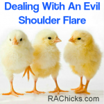 Dealing With An Evil Shoulder Flare - Rheumatoid Arthritis - RA Chicks 