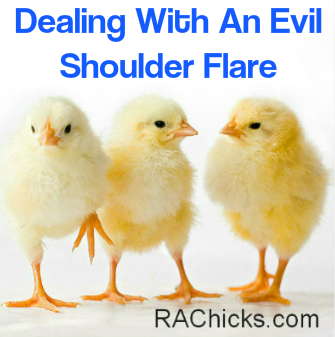 Dealing With An Evil Shoulder Flare - Rheumatoid Arthritis - RA Chicks