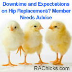 Member Discussions and Questions Downtime and Expectations on Hip Replacement Member Needs Advice Discussion from RA Chicks : Women with Rheumatoid Arthritis rachicks.com